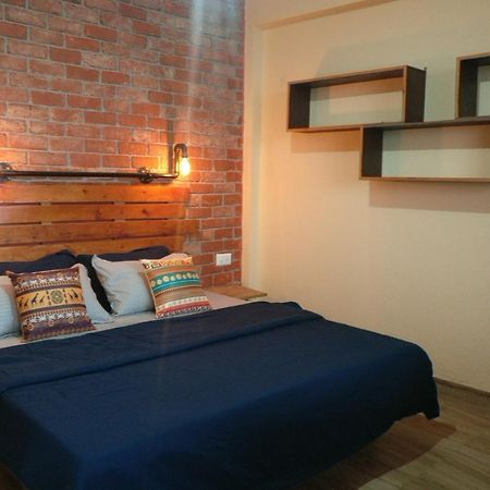 White Rabbit Guest House دارامشالا المظهر الخارجي الصورة