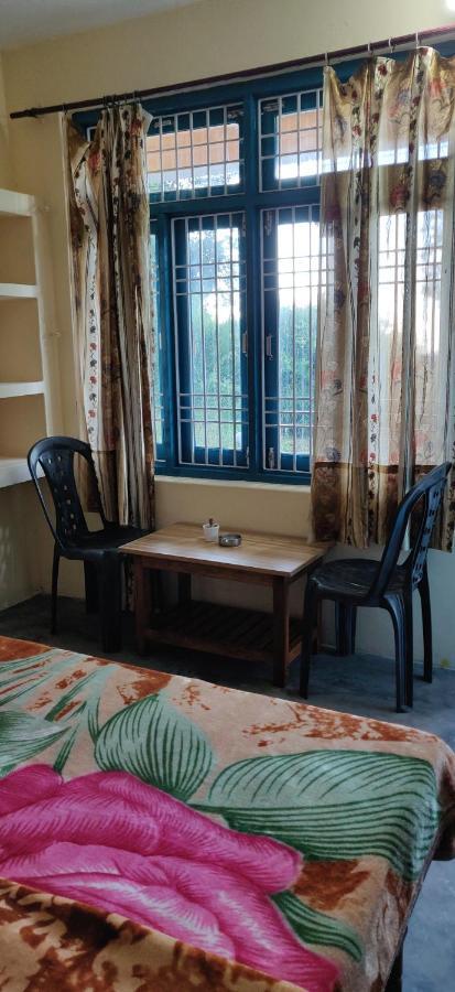 White Rabbit Guest House دارامشالا المظهر الخارجي الصورة