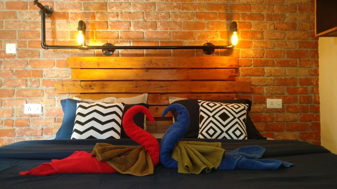 White Rabbit Guest House دارامشالا المظهر الخارجي الصورة