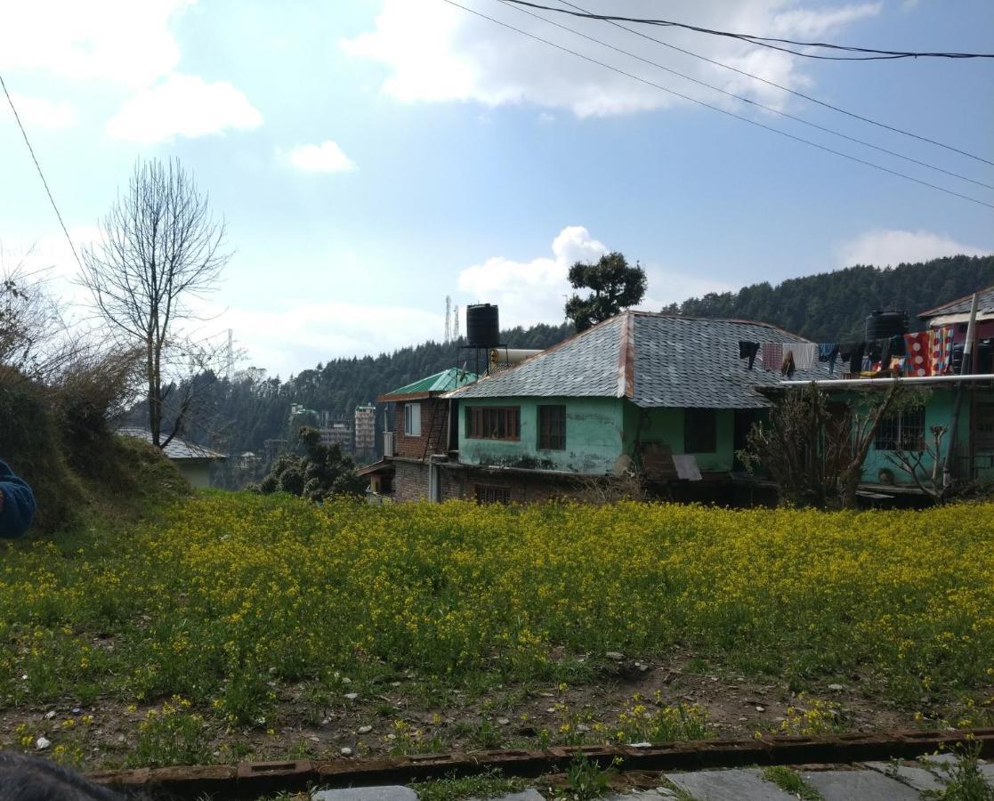 White Rabbit Guest House دارامشالا المظهر الخارجي الصورة