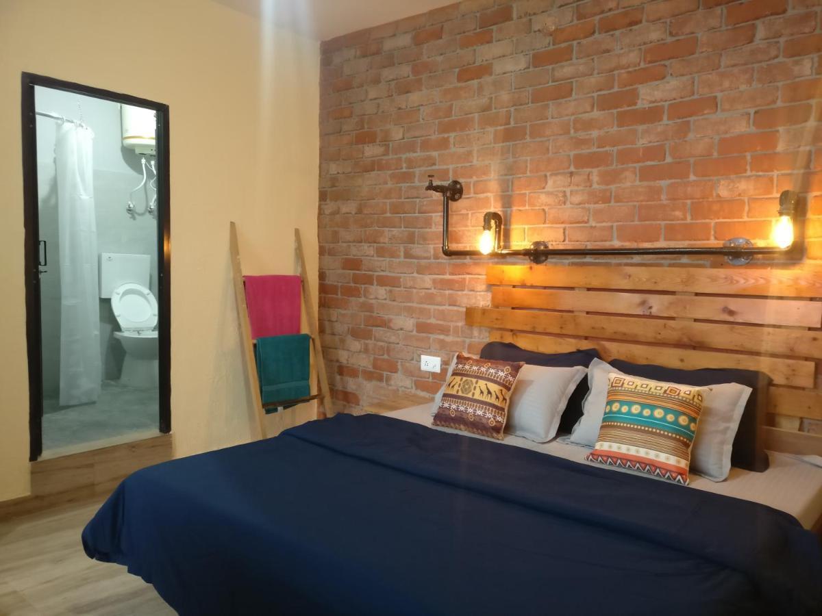 White Rabbit Guest House دارامشالا المظهر الخارجي الصورة